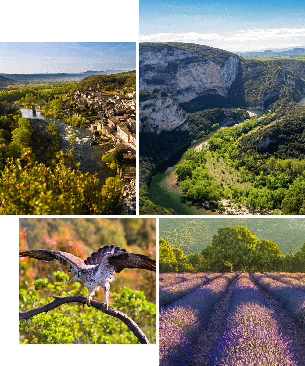 Les Gorges de l'Ardèche